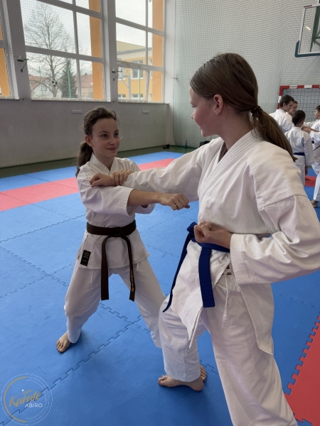 ABiRO-Seminar_JanStekly-2025-59
