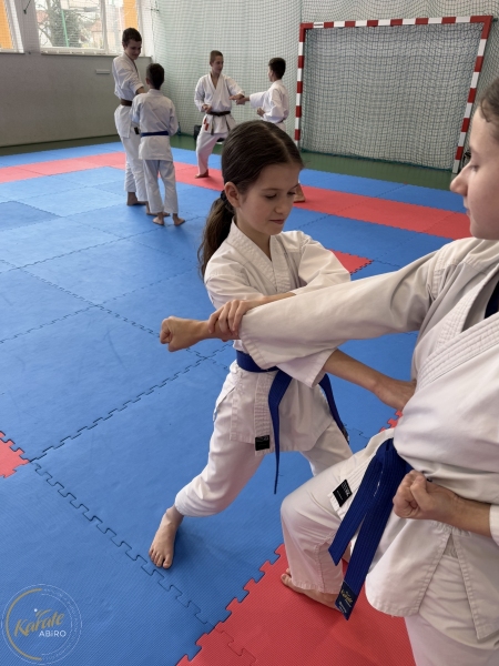 ABiRO-Seminar_JanStekly-2025-60