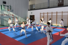 ABiRO-Seminar_JanStekly-2025-11