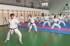 IMG-20250323-WA0049