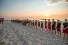 ABiRO-Sianozety-2025-08