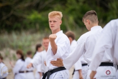 ABiRO-Sianozety-2025-09