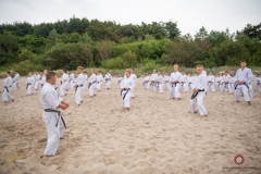 ABiRO-Sianozety-2025-10