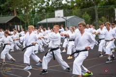 ABiRO-Sianozety-2025-11