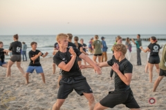 ABiRO-Sianozety-2025-18