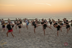 ABiRO-Sianozety-2025-19