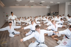 ABiRO-Sianozety-2025-22