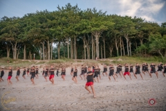 ABiRO-Sianozety-2025-24