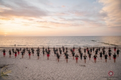 ABiRO-Sianozety-2025-25