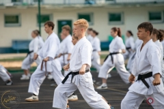 ABiRO-Sianozety-2025-30