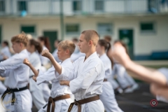 ABiRO-Sianozety-2025-31