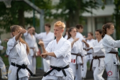 ABiRO-Sianozety-2025-32