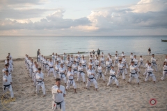 ABiRO-Sianozety-2025-36