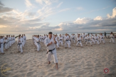 ABiRO-Sianozety-2025-37