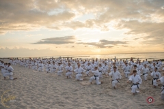 ABiRO-Sianozety-2025-38