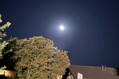 ABiRO-Gasshuku-2025-01