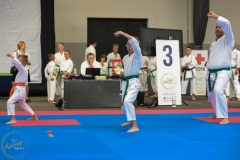 ABiRO-MCUP-2025-008