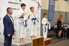 ABiRO-MCUP-2025-012