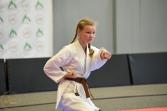 ABiRO-MCUP-2025-030
