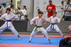 ABiRO-MCUP-2025-035