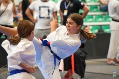 ABiRO-MCUP-2025-036