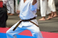 ABiRO-MCUP-2025-044
