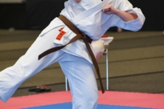 ABiRO-MCUP-2025-050