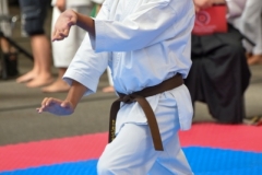 ABiRO-MCUP-2025-053