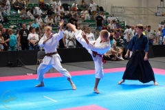 ABiRO-MCUP-2025-094