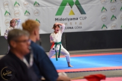 ABiRO-MCUP-2025-102