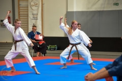ABiRO-MCUP-2025-111
