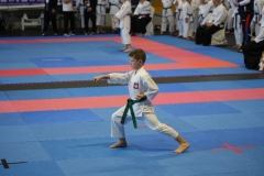 DSC07131-Duze