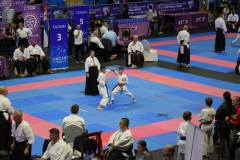 DSC07339-Duze