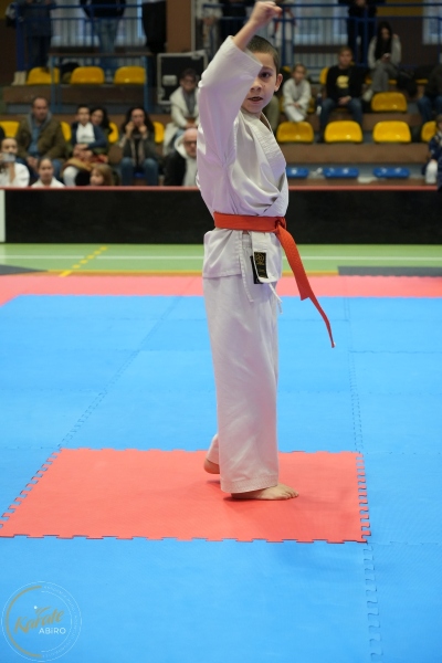 ABiRO-NTwKT-2025-080