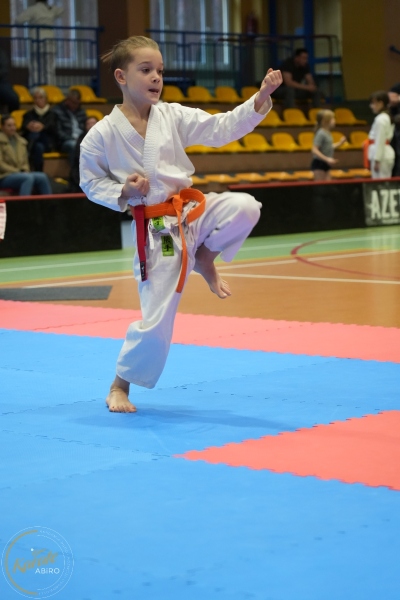 ABiRO-NTwKT-2025-082