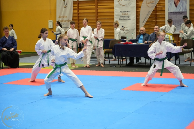 ABiRO-NTwKT-2025-159