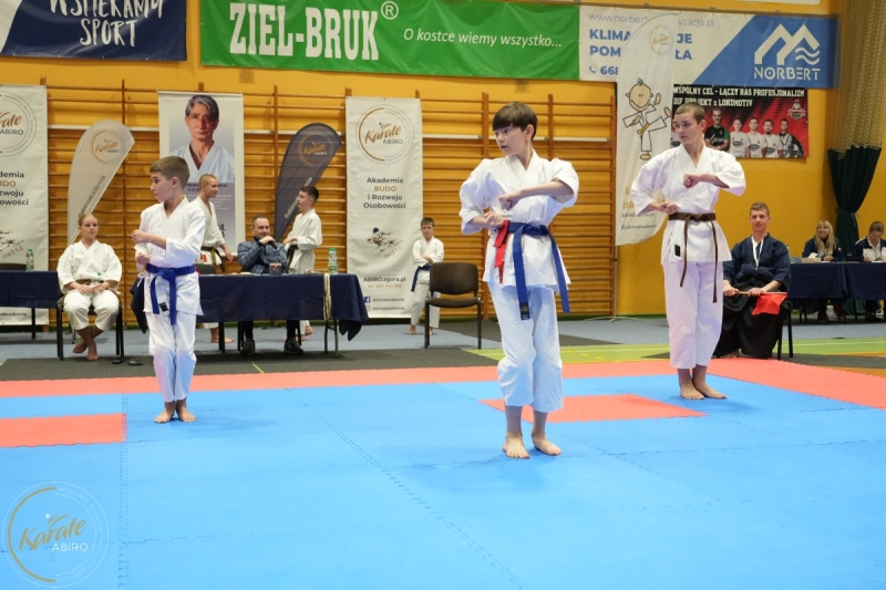 ABiRO-NTwKT-2025-239