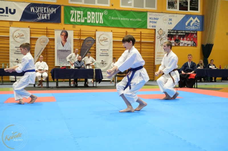 ABiRO-NTwKT-2025-242