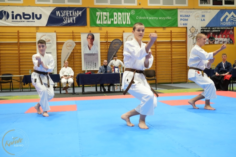 ABiRO-NTwKT-2025-244