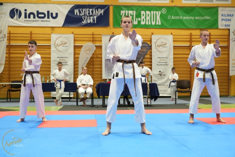 ABiRO-NTwKT-2025-245