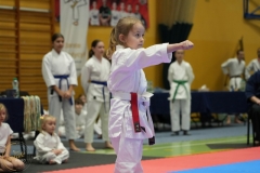 ABiRO-NTwKT-2025-017