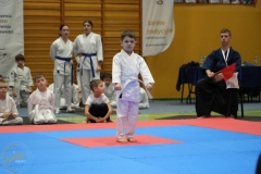 ABiRO-NTwKT-2025-035