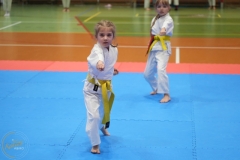 ABiRO-NTwKT-2025-045