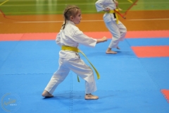 ABiRO-NTwKT-2025-046