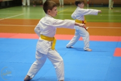 ABiRO-NTwKT-2025-048