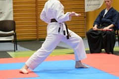 ABiRO-NTwKT-2025-229