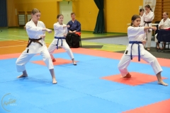 ABiRO-NTwKT-2025-232