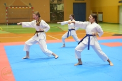 ABiRO-NTwKT-2025-233