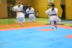 ABiRO-NTwKT-2025-234