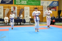 ABiRO-NTwKT-2025-239